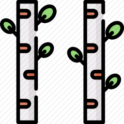 白桦树图标