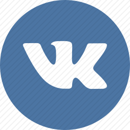 <em>VKontakte</em>图标