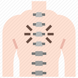 脊椎图标