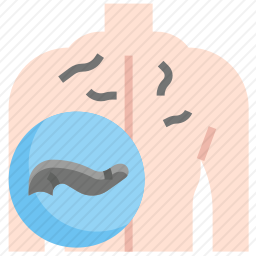 水蛭疗法图标