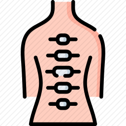 脊椎图标
