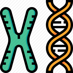 <em>染色体</em>DNA图标