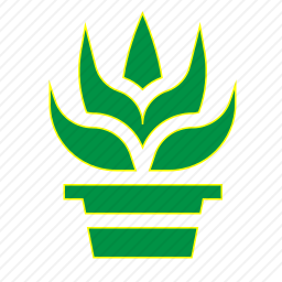 <em>芦荟</em>图标