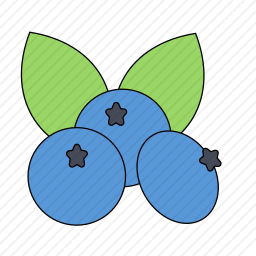  蓝莓图标