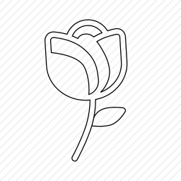  玫瑰图标