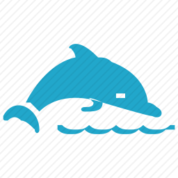  海豚图标