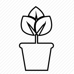  盆栽图标
