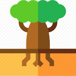 猴面包树图标