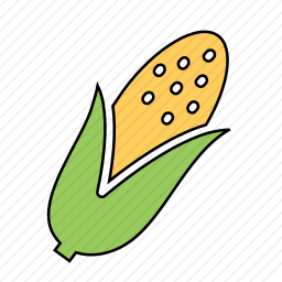 玉米图标