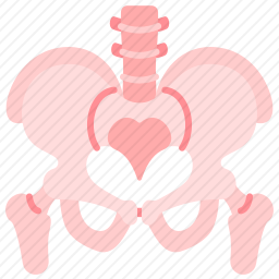 骨盆图标