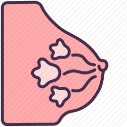 乳房图标
