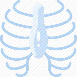 肋骨图标