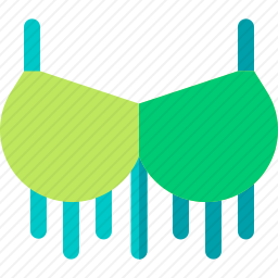 胸罩图标