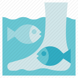 鱼疗法图标
