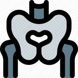 骨盆图标