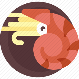 鹦鹉螺图标