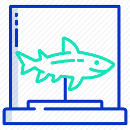 鲨鱼雕塑图标