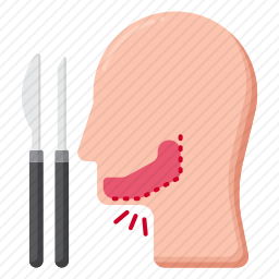 颌骨外科图标