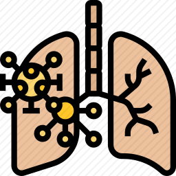 肺图标