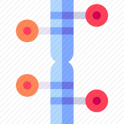 染色体图标