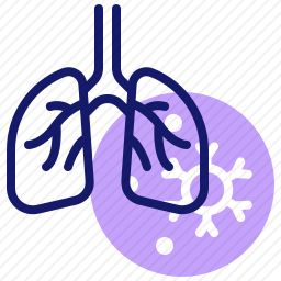 肺图标