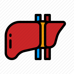 肝脏图标