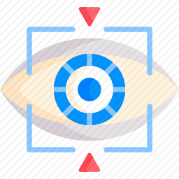 眼部扫描图标