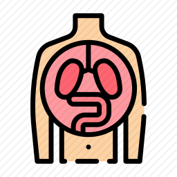 器官图标