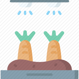 蔬菜图标