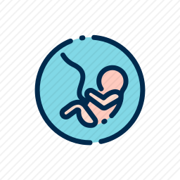 <em>fetus</em>图标