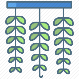 植物图标