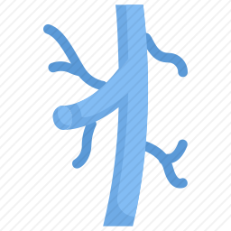 <em>静脉</em>图标