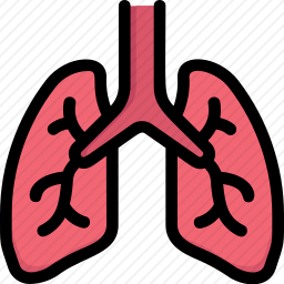 肺图标