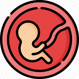 <em>fetus</em>图标