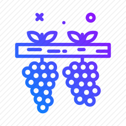 葡萄图标
