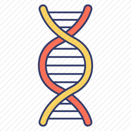 <em>DNA</em><em>结构</em>图标