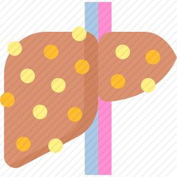肝硬化图标