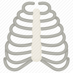 排骨图标