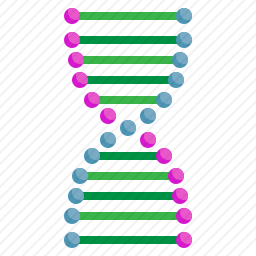 基因组图标