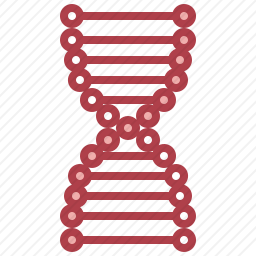 基因组图标