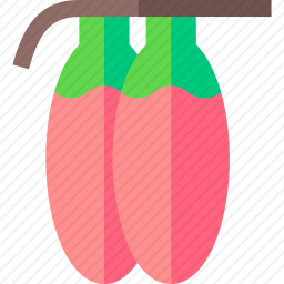 浆果图标