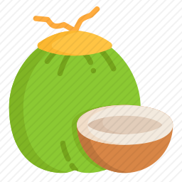 椰子图标