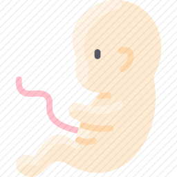 <em>fetus</em>图标