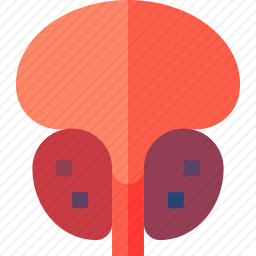 前列腺癌图标