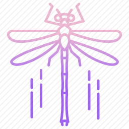 蜻蜓图标