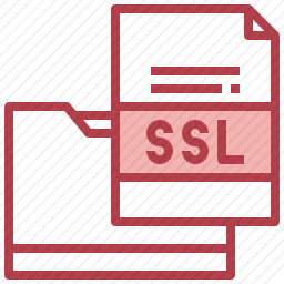 <em>SSL</em>图标