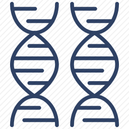 <em>脱氧核糖核酸</em>图标