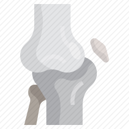 膝关节图标