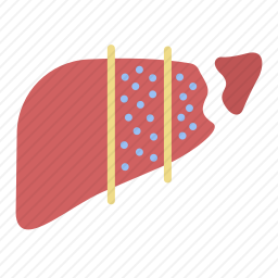 乙型肝炎图标