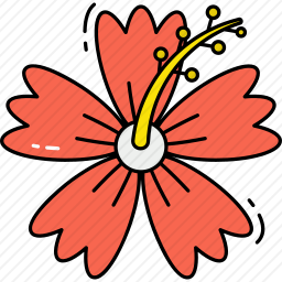 木槿图标